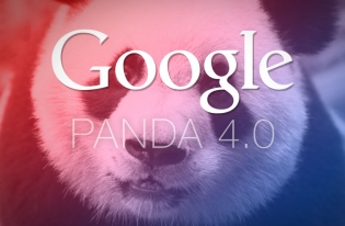 Why the launch of Google Panda 4.0 could mean good news for your business